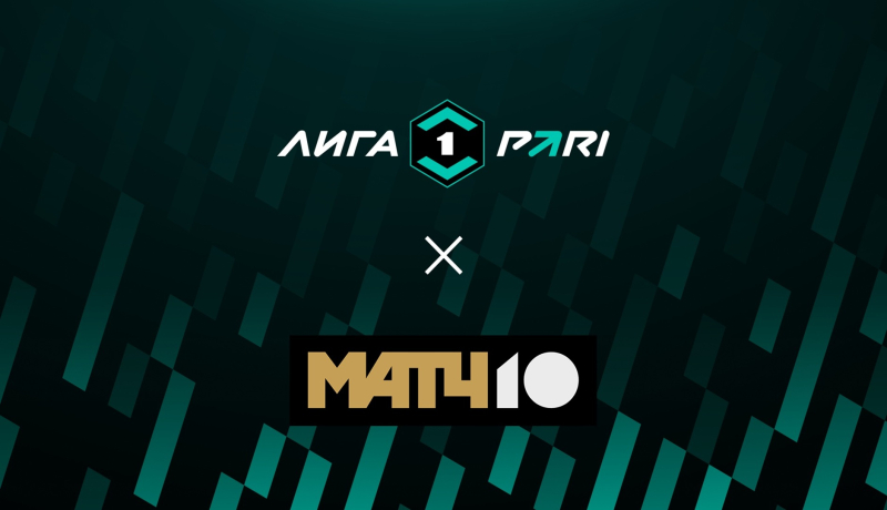 Чайка — Шинник